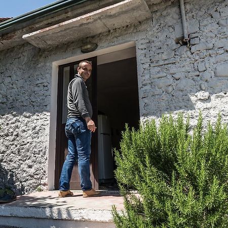 Eco Garten Guest House Shkodër エクステリア 写真