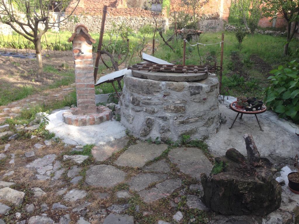 Eco Garten Guest House Shkodër エクステリア 写真