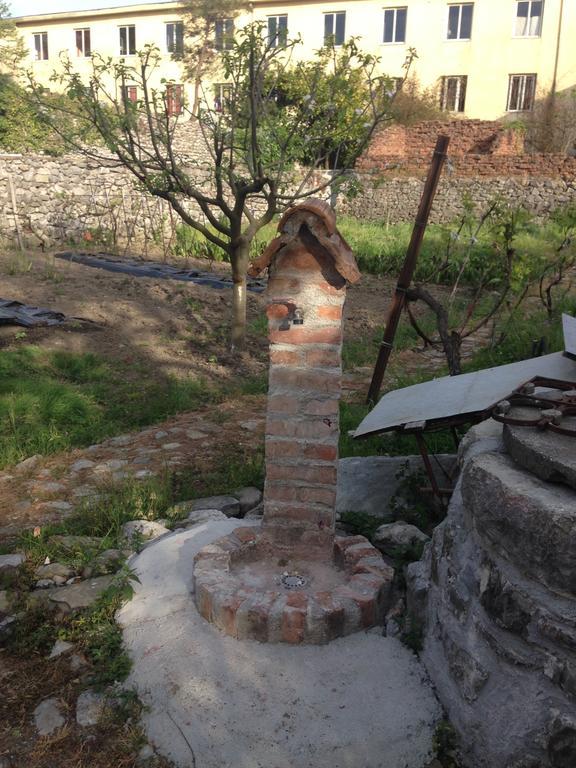 Eco Garten Guest House Shkodër エクステリア 写真