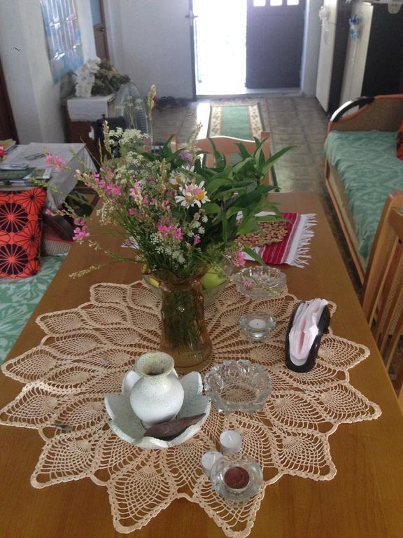 Eco Garten Guest House Shkodër エクステリア 写真
