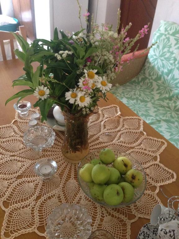 Eco Garten Guest House Shkodër エクステリア 写真