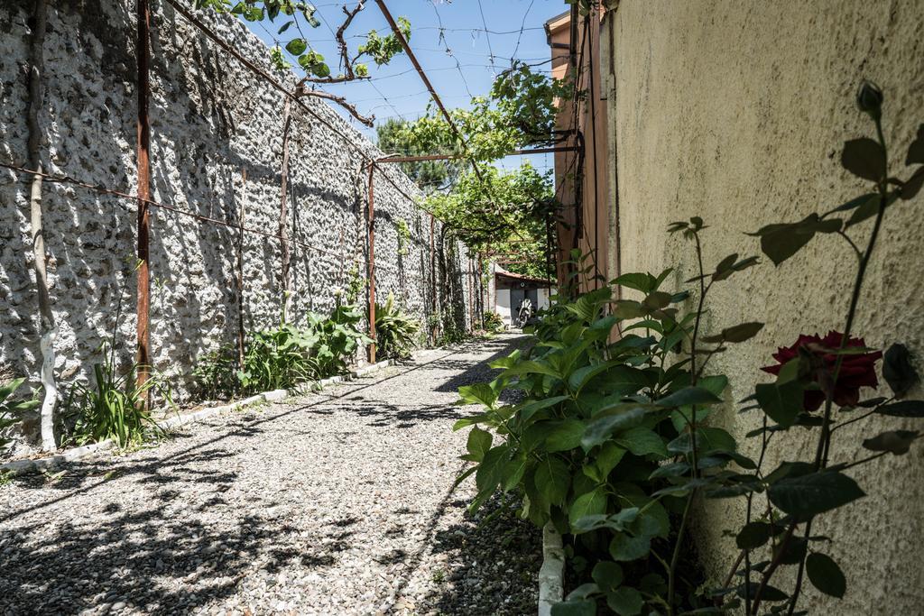 Eco Garten Guest House Shkodër エクステリア 写真