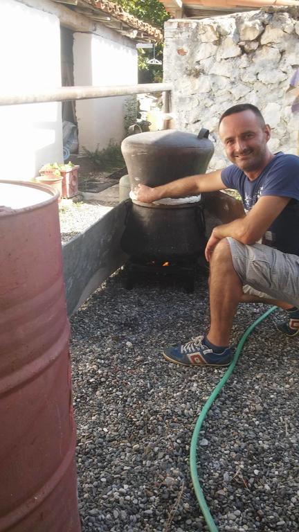 Eco Garten Guest House Shkodër エクステリア 写真