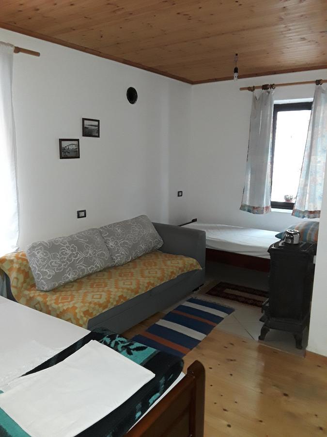 Eco Garten Guest House Shkodër エクステリア 写真