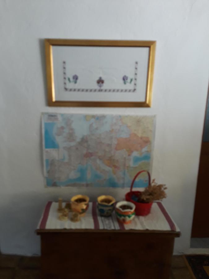Eco Garten Guest House Shkodër エクステリア 写真
